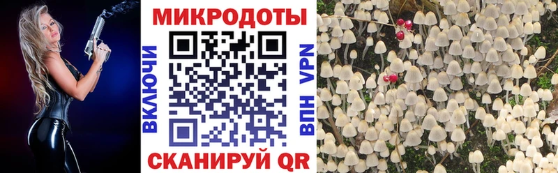 купить закладку  Сосновый Бор  Псилоцибиновые грибы Psilocybe 